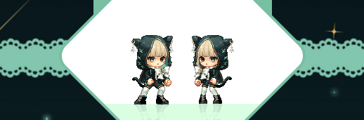 수상한 고양이
