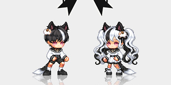 말괄량이 보더콜리