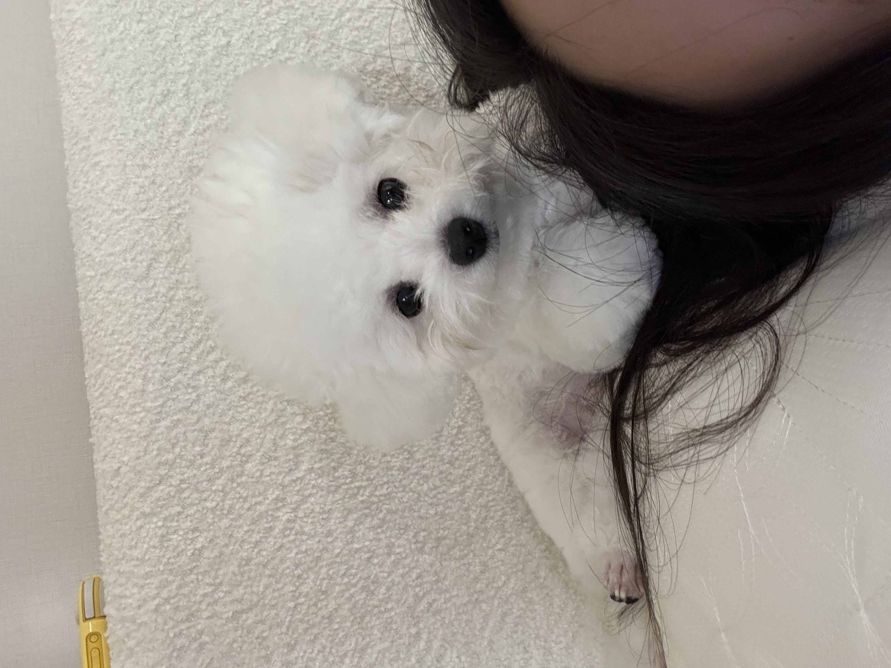 여름푸름
