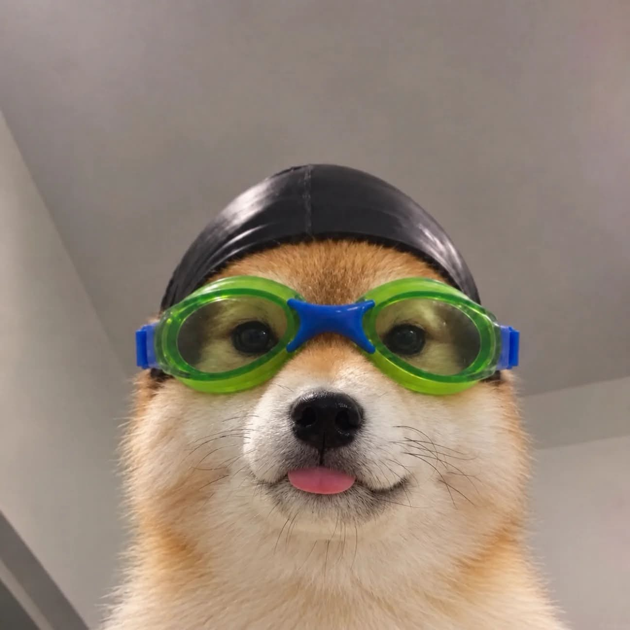 ㅍㄿ